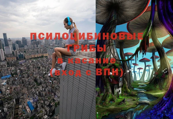 спиды Костерёво