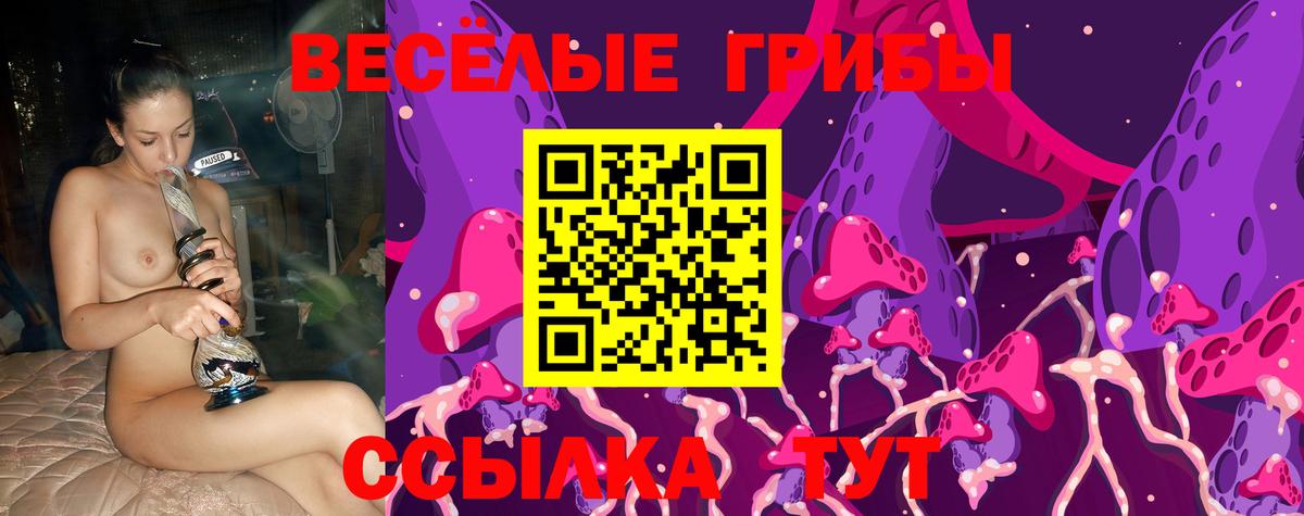Псилоцибиновые грибы MAGIC MUSHROOMS  Псилоцибиновые грибы MAGIC MUSHROOMS  купить   Новокузнецк  Вход с VPN 